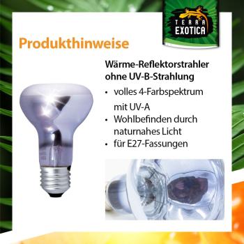 Terra ExoticaNeo Spot - 60 Watt Terrarien-Reflektorstrahler